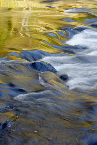 Textures;Shapes;Patterns;Abstractions;Abstract;Reflections;Reflection;Plant;Trunk;Bark;Leafy;Branches;Branch;Woodland;Herbaceous;Shrub;Bush;Trees;Tree Trunk;Brook;Creek;Rivulet;Streamlet;Stream;Rivers;River;Riverbed;Water;Flowing;waterway;stream;creek;brook